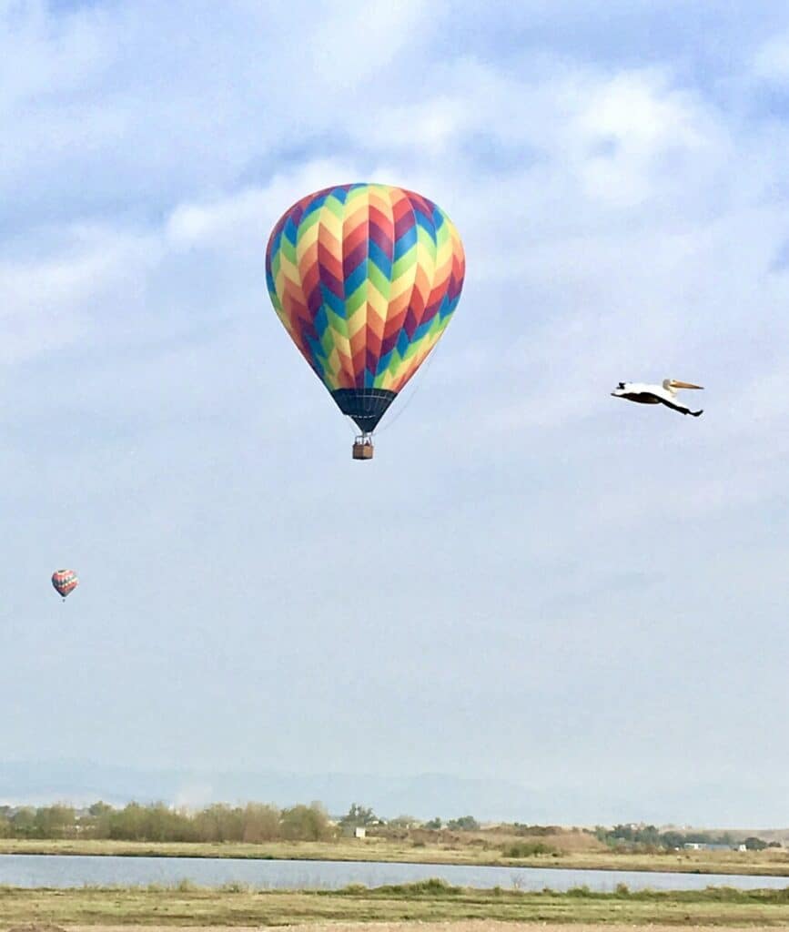 fullsizeoutput 1cd6, colorado hot air balloon ride, denver, longmont